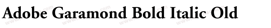 Adobe Garamond Bold Italic Oldstyle Figures字体转换